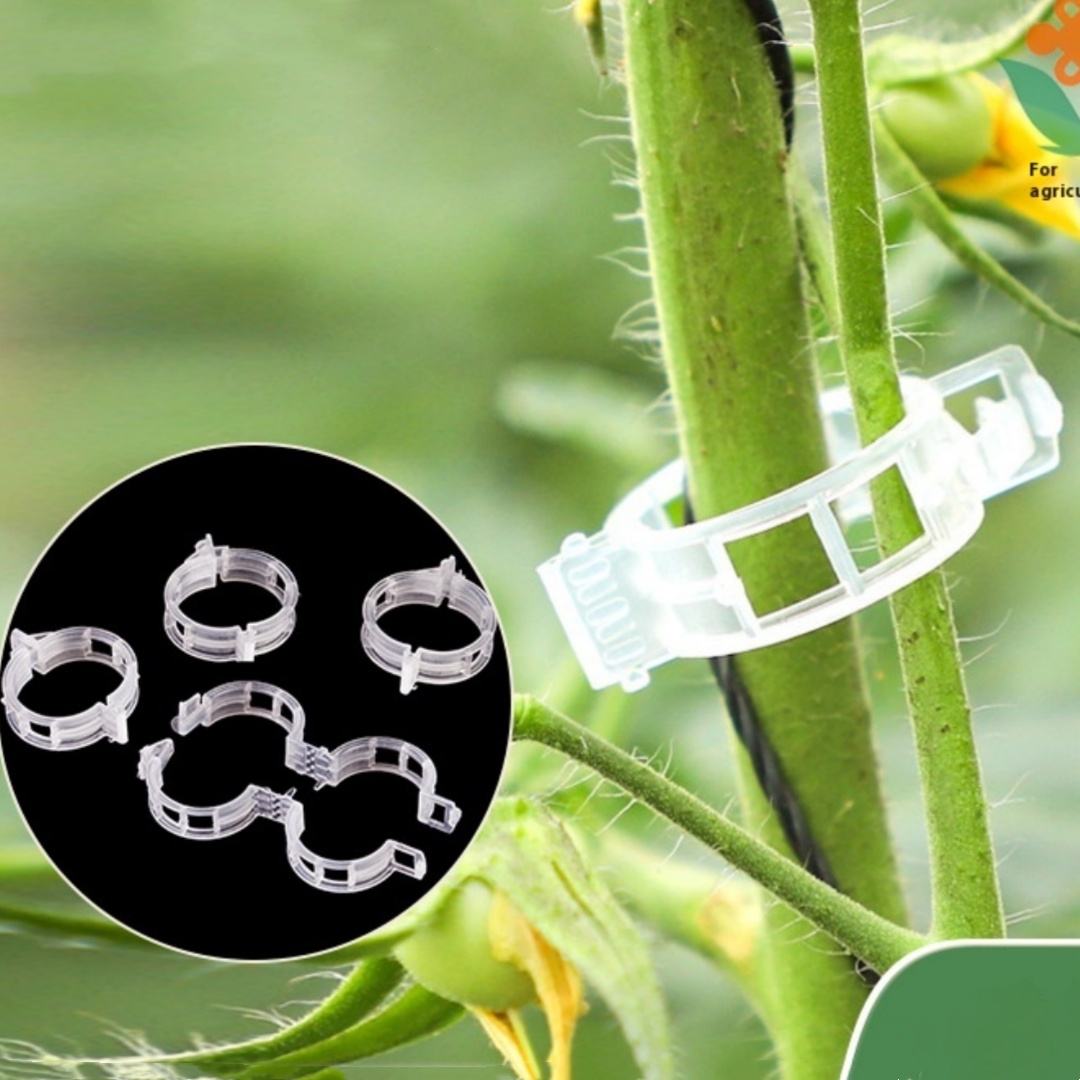 Plant Clipsseedling Hanging Clipplastic Tie Tendril Clipbranch Binding Clipclip For Hanging VineVine ClampVine Fixed Clip